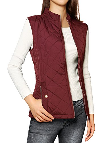 Allegra-K-Woman-Stand-Collar-Zippered-Quilted-Padded-Vest