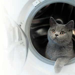 Machine Washable for Easy Care